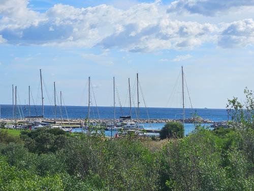 Hotel Onda Marina - image 5