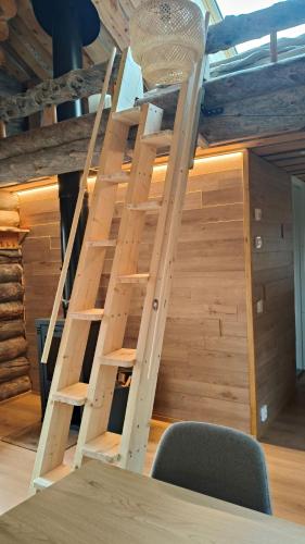 Luonto, das Blockhaus, Inari (foto 8)
