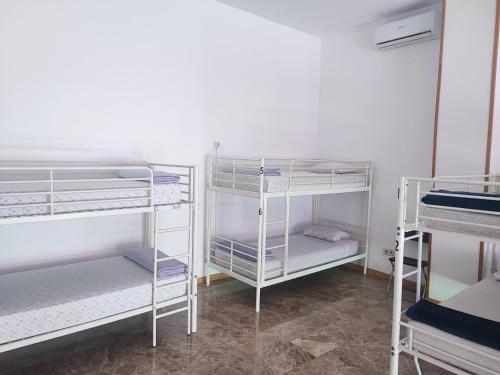 Hostel M Torres in Barajas