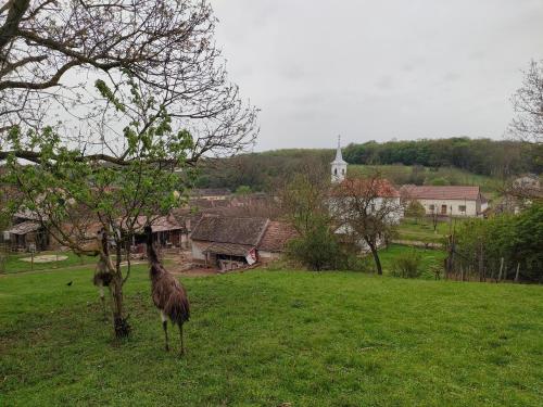 A szálláshely kívülről, Villány Outback (Villany Outback) in Villánykövesd