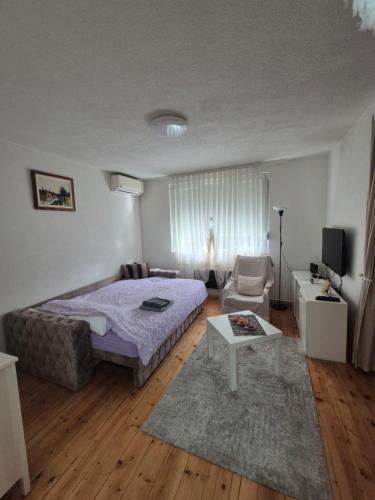 Studio VA2016, Kruševac (fotografie 6)