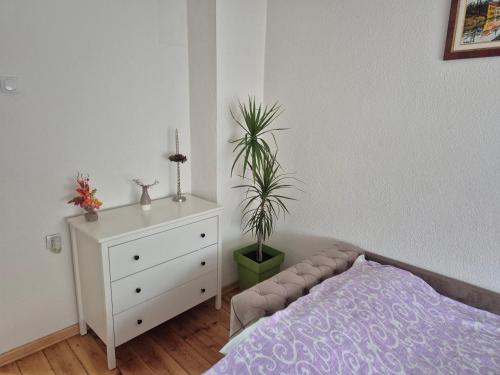 Studio VA2016, Kruševac (fotografie 5)