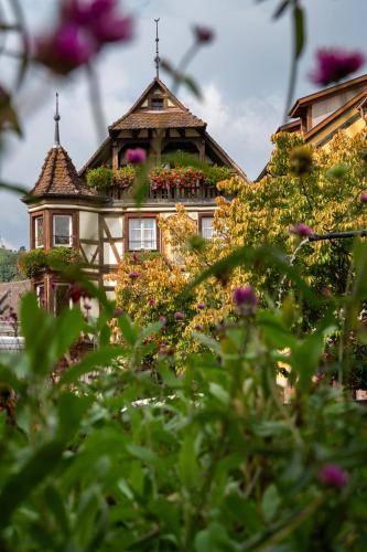 Santolina Etrusca Bed and Breakfast, Sauna, Hammam, Jacuzzi in Rouffach