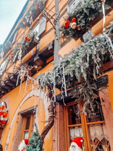 Santolina Etrusca Bed and Breakfast, Sauna, Hammam, Jacuzzi in Rouffach