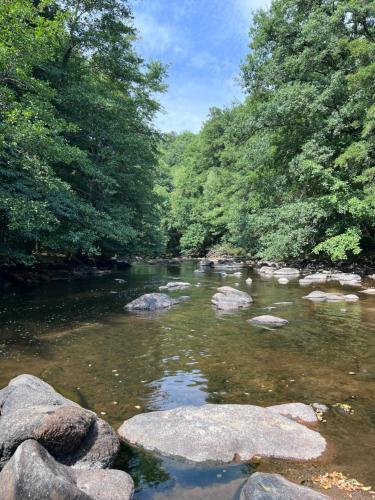Sequoia cottage in Avent