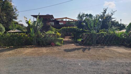 Leki By Sagumo, Sagana (photo 4)