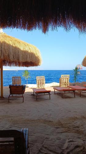 Grand Halomy Megan in Sharm El Sheikh