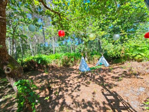 A környék, Guitard Caravan Club - Caravane romantique et insolite in Bouglon