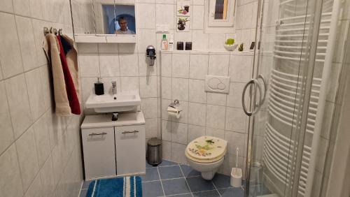 浴室, Ferienwohnung an der Sommerliede in 霍亨羅達