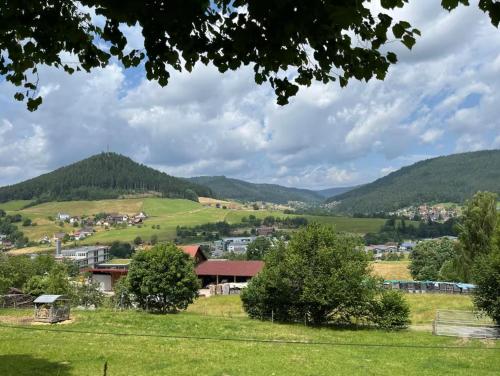 Waldblick-Appartement in Baiersbronn, Deutschland