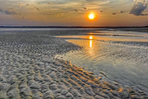 Good Morning Sunshine - image 4