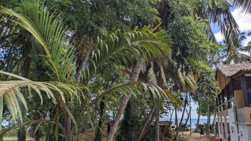 Amurasan beach studio - image 4