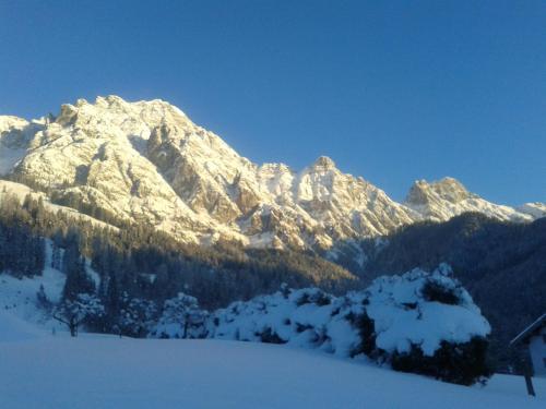 Uitzicht, Riedlhof - Leogang in Bad Leogang