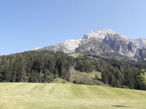 Uitzicht, Riedlhof - Leogang in Bad Leogang