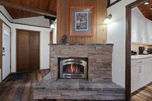 3 Killdeer home - image 2