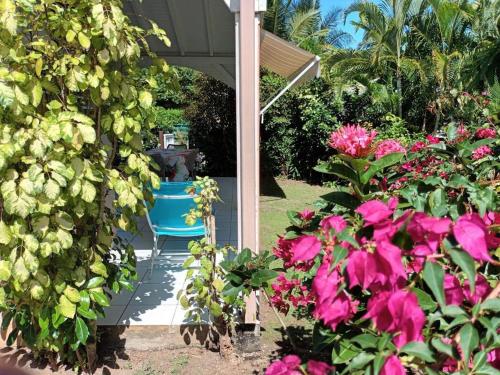 Residence Corail, Sainte-Rose (fotografie 10)
