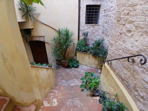 Appartamento Foligno centro in Foligno