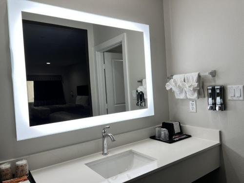 Hotel Royale - Houston Hobby Airport - image 2
