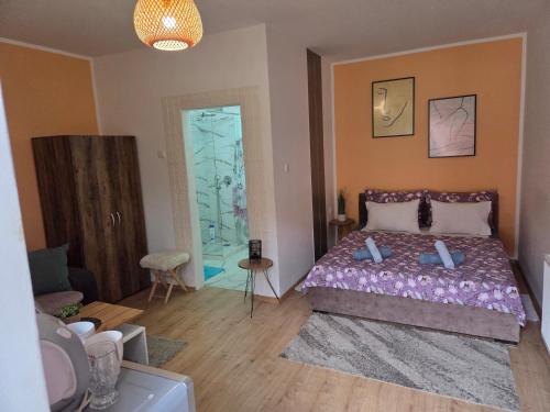 Zen apartman 7 - Location saisonnière - Zrenjanin