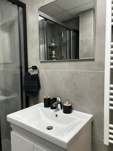 Mirror Apartments in Petrovec