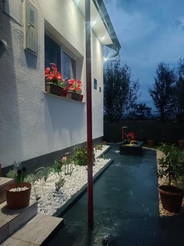 Apartman Cirkic in Husimovci