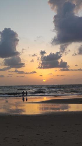 Coconut tree cottages Gokarna in โกคาร์นา