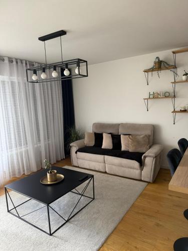 T2 Élégant, proche de Genève, avec parking (T2 Elegant, proche de Geneve, avec parking) in 昂比伊