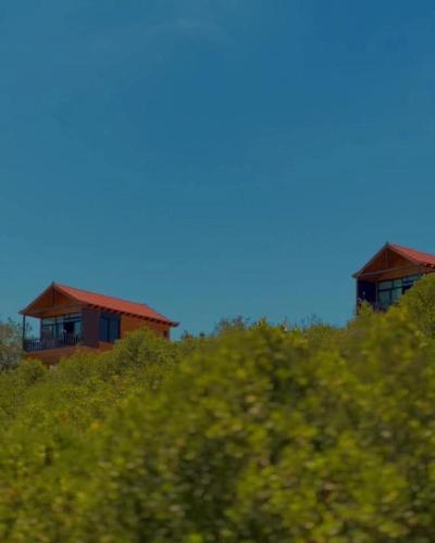 أكواخ الهدهد, Ajloun (fotografie 8)
