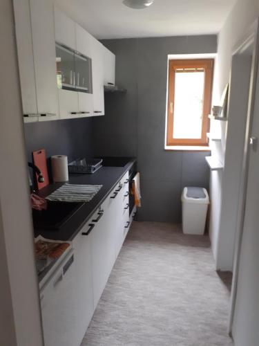 virtuve, Apartmán Jindřichov (Apartman Jindrichov) in Jindřichov (Olomouc)