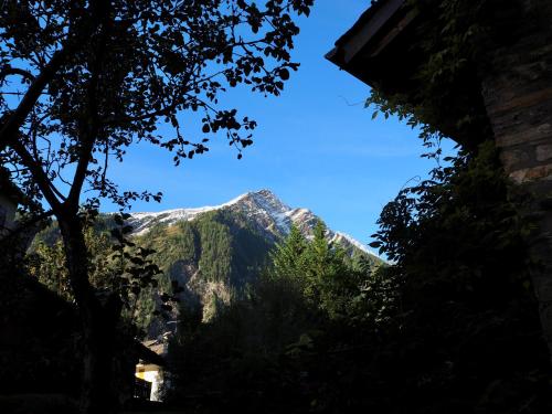 Courmayeur Cozy Nest