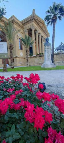 Lascaris 11 apartament, Palermo (foto 10)
