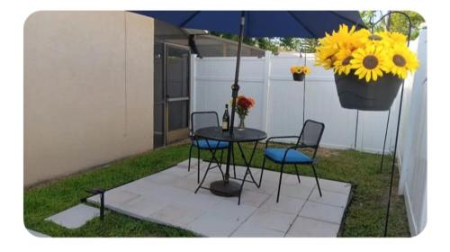 Cozy Retreat near the Beach in Tarpon Springs (Florida)