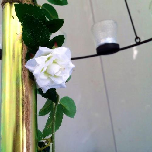 牛津河畔豪华帐篷 牛津河畔豪华帐篷