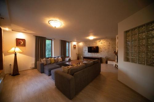 ห้องส่วนกลางสำหรับนั่งเล่น/ดูทีวี, Pensiunea Rezkakas in บัลวันยอส