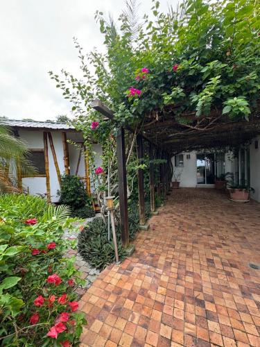 Infinity Pool - Ocean View Same in Same