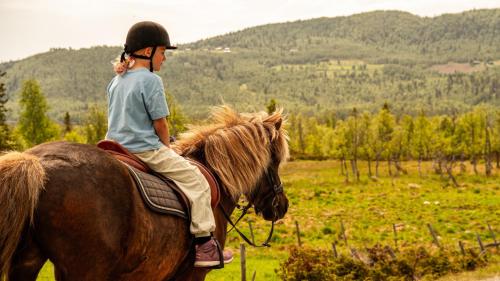 Aktivitäten, Brand new house close 2 Skiresort in Hemsedal