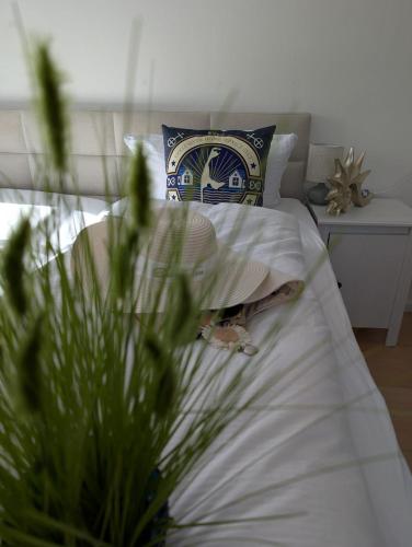 Austernperle in Sylt, Deutschland