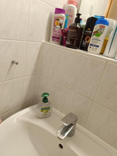 Einzelzimmer für Frauen Female Single room, Lipsko (fotografie 5)