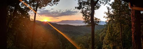 Moose Mountain Lodge - Ellijay, GA, Chopped Oak