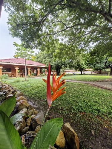 Hotel Hacienda Casa del Viento