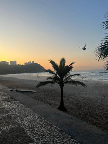 Apartment 50 meters from the beach in Praia do Tombo