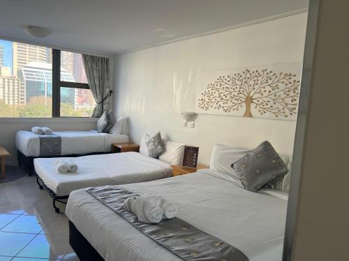 Paxsafe Sydney Hyde Park Private Apartments - Roof Top Retreat & Pool - image 11