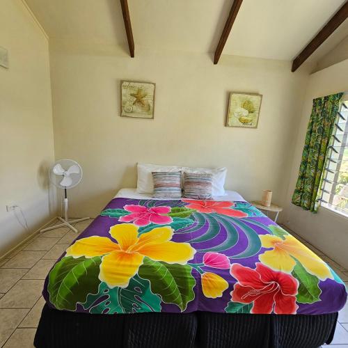 Mango Cottage with AC, Unlimited Wifi and Private pool, Rarotonga (zdjęcie 10)