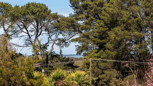 Azure Drift in Balnarring