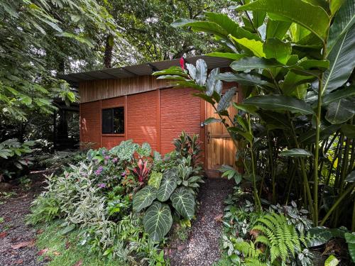 The frog house, Fortuna (Foto 5)