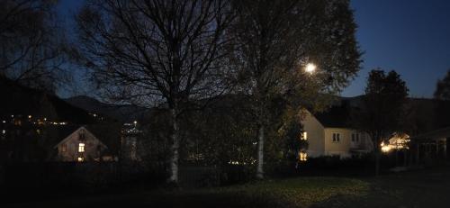 House with terrace and a big garden in centrum of Lyngseidet