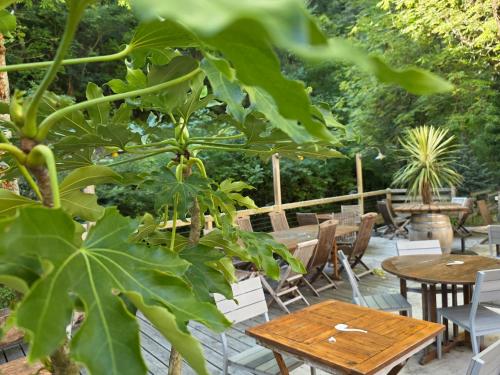 Logis Hotel Le Moulin De La Pipe in Plan-de-Baix
