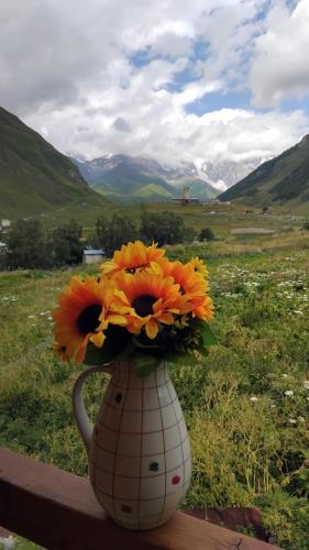 Ushguli Terrace in Ushguli