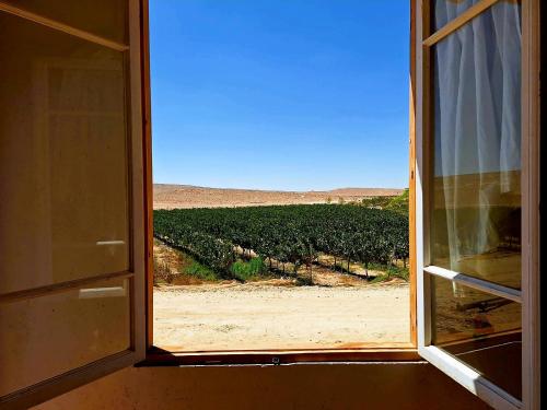 כרם שיזף, Micpe Ramon (fotografie 5)