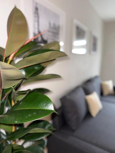 設施, Highfield 2 rooms Apartment in 奧格斯堡格金根